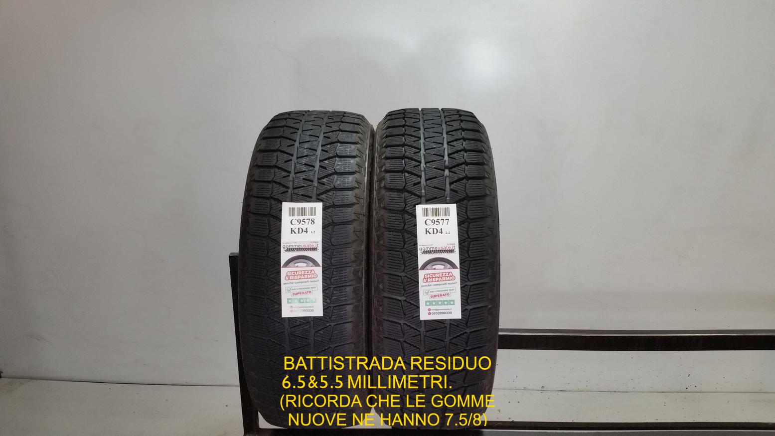 BLIZZAK WS80