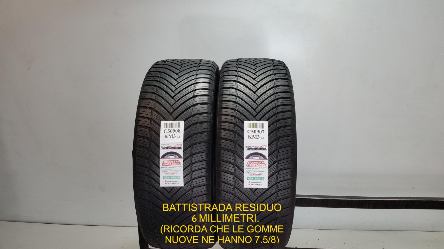 Minerva 255/45 R20 105W 