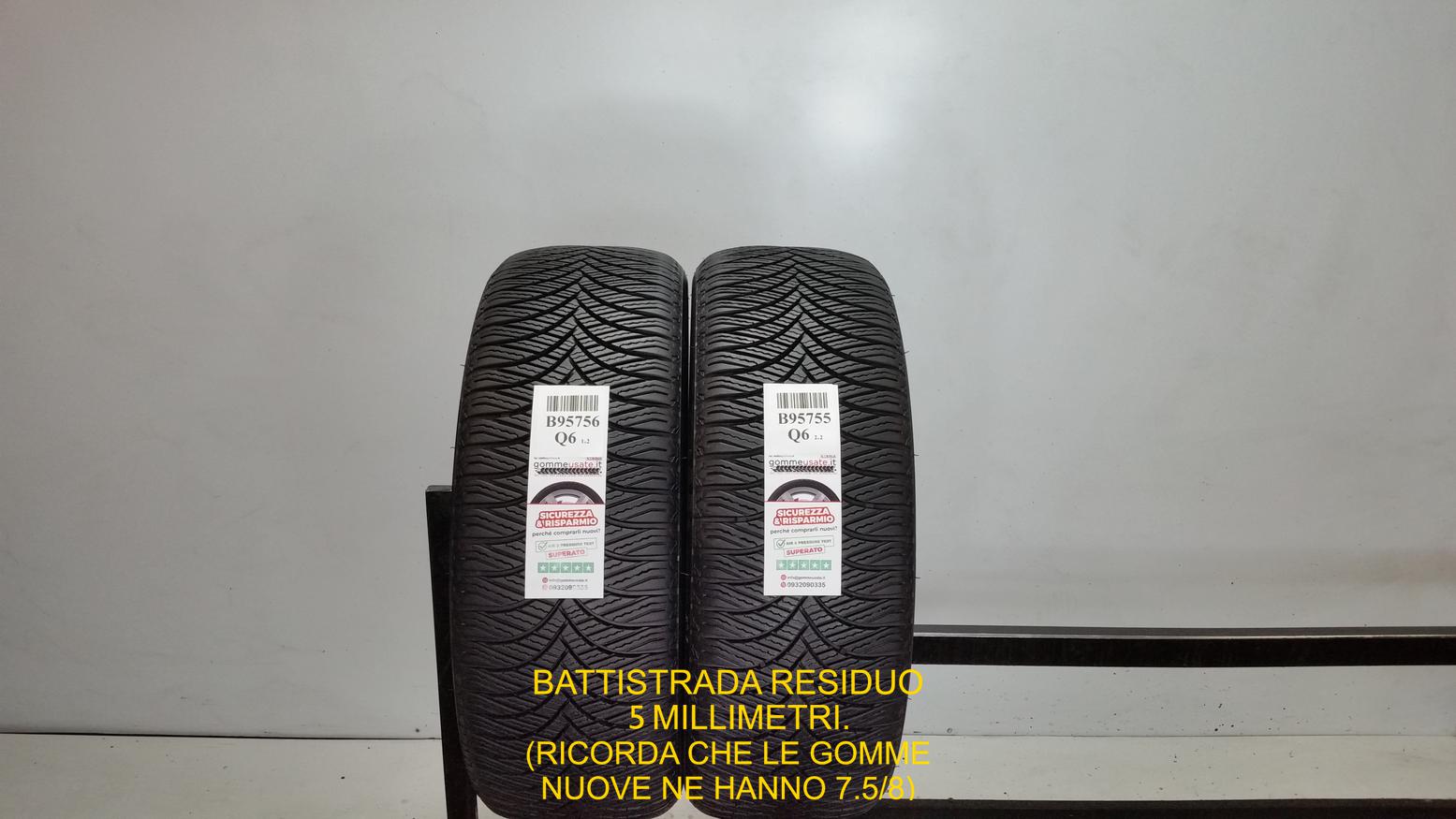 N FERA SPORT