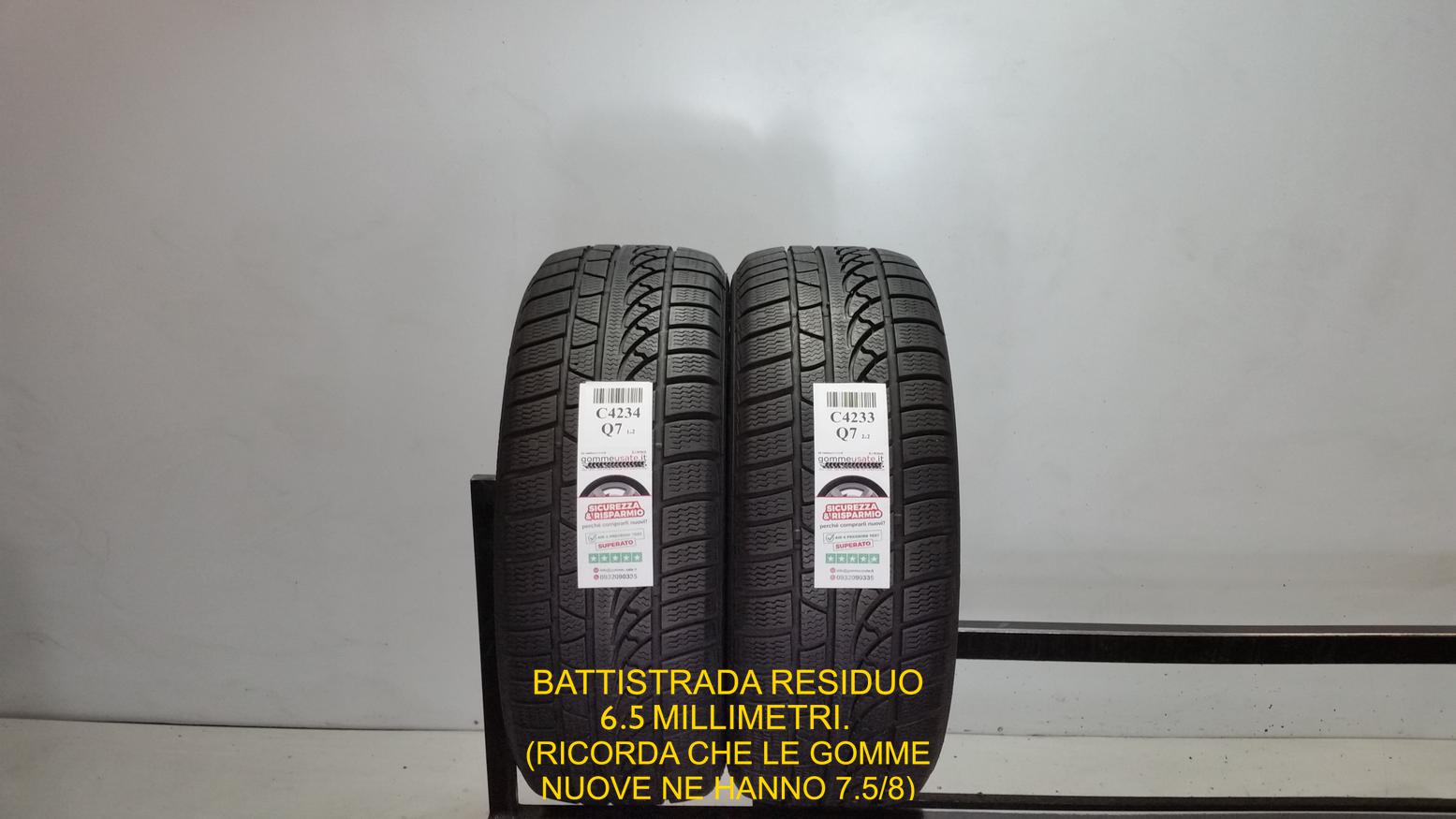 SNOW MASTER W651