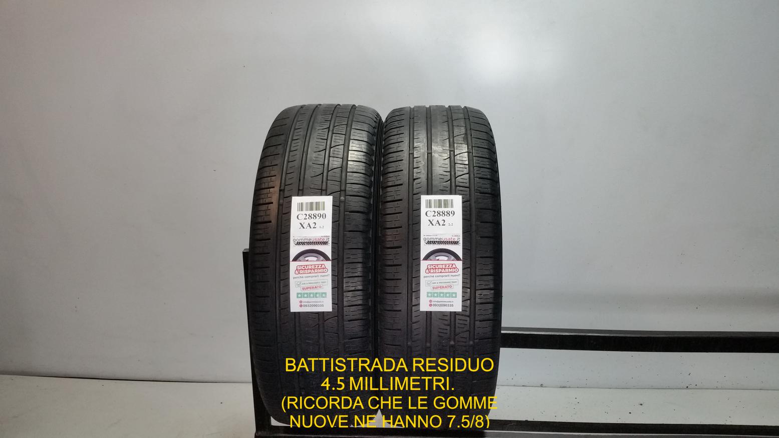 SCORPION VERDE ALL SEASON