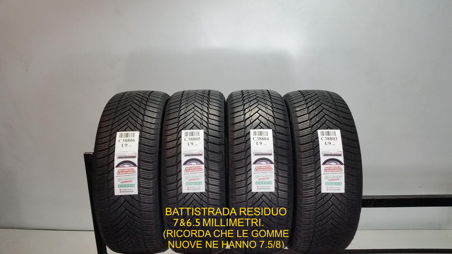 WINTER PRO TS1