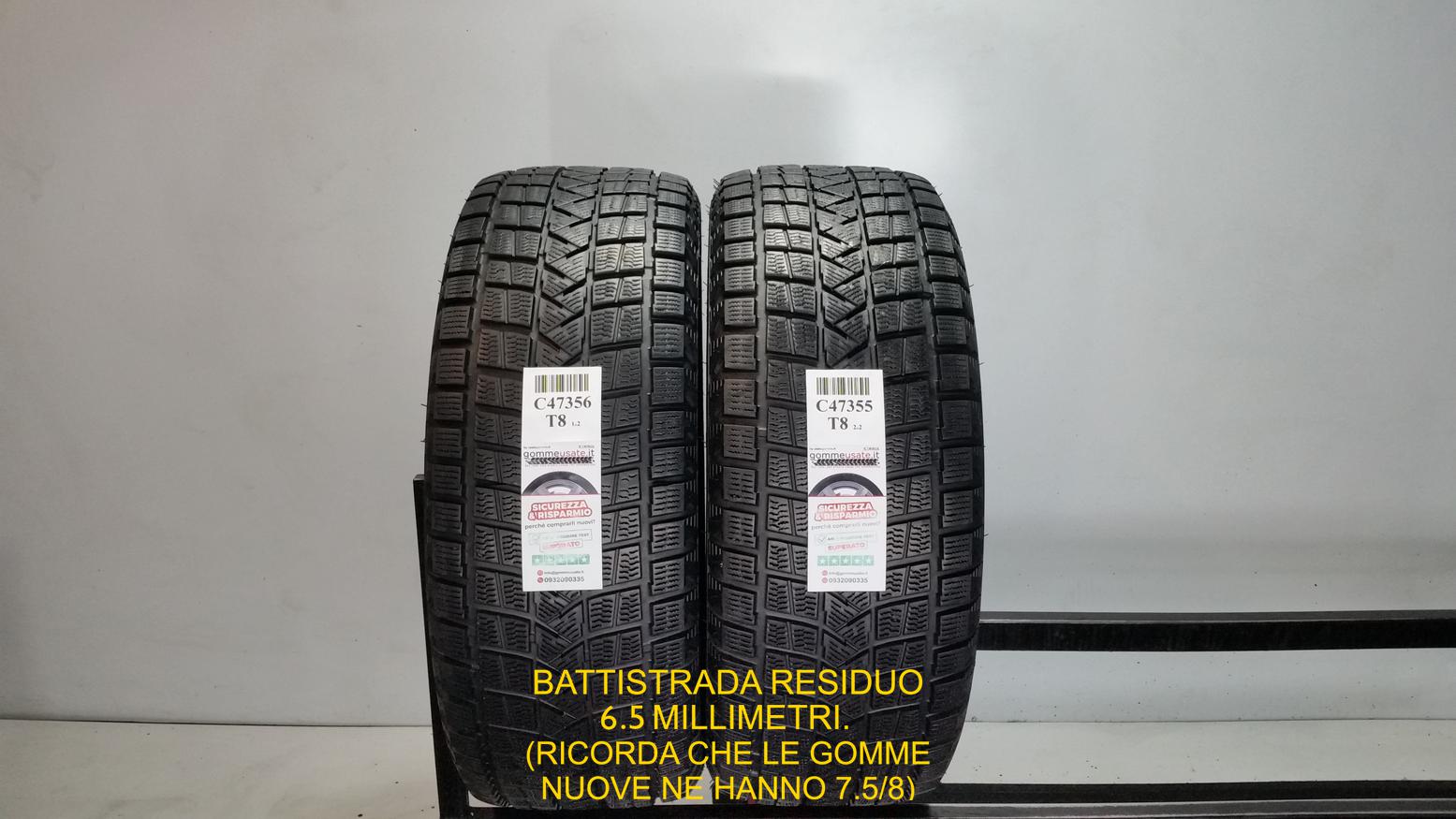 WINTER PRO TSS1